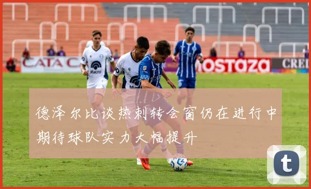 德泽尔比谈热刺转会窗仍在进行中期待球队实力大幅提升