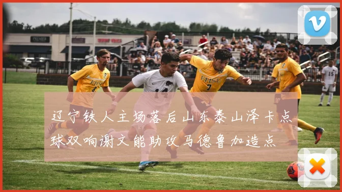 辽宁铁人主场落后山东泰山泽卡点球双响谢文能助攻马德鲁加造点