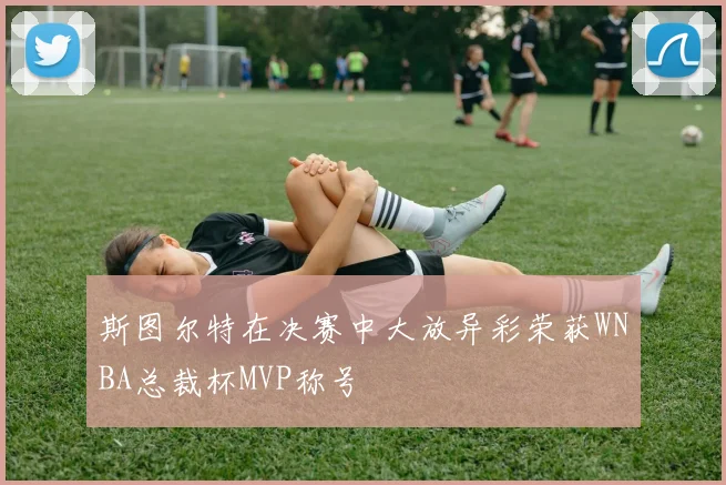 斯图尔特在决赛中大放异彩荣获WNBA总裁杯MVP称号