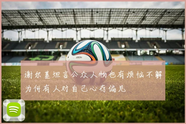 谢尔基坦言公众人物也有烦恼不解为何有人对自己心存偏见